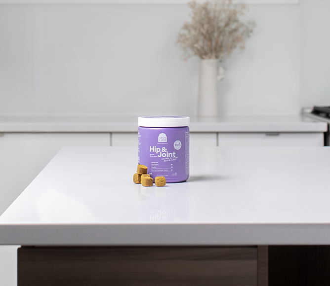 Comprimés à mâcher pour la santé des hanches et des articulations des chiens