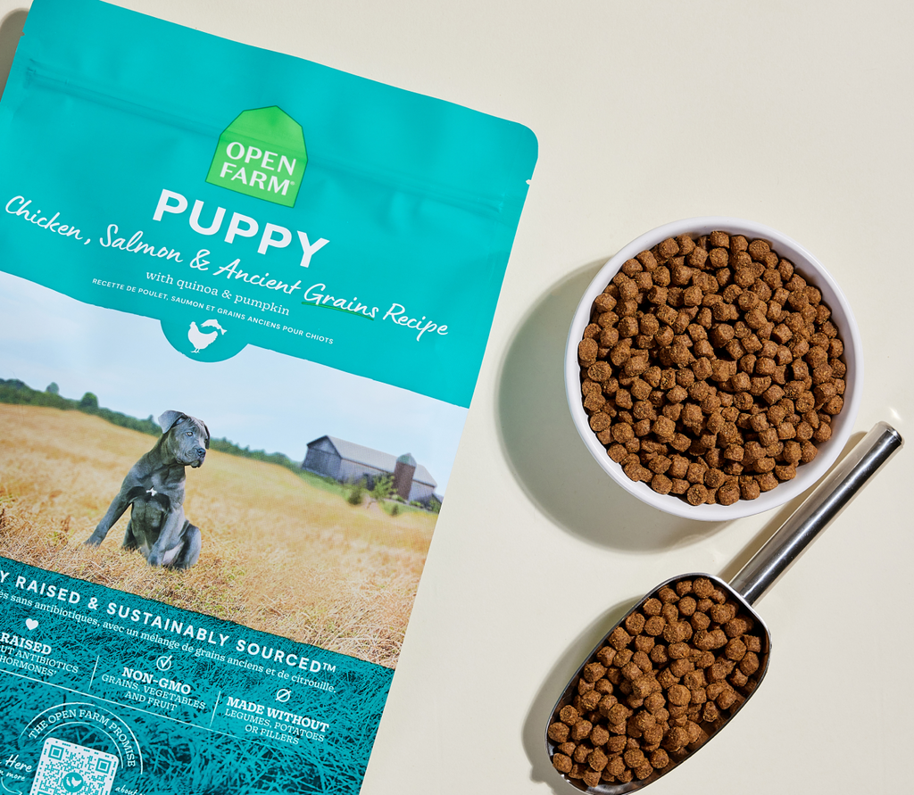 Chicken & Salmon Ancient Grains Puppy Kibble
