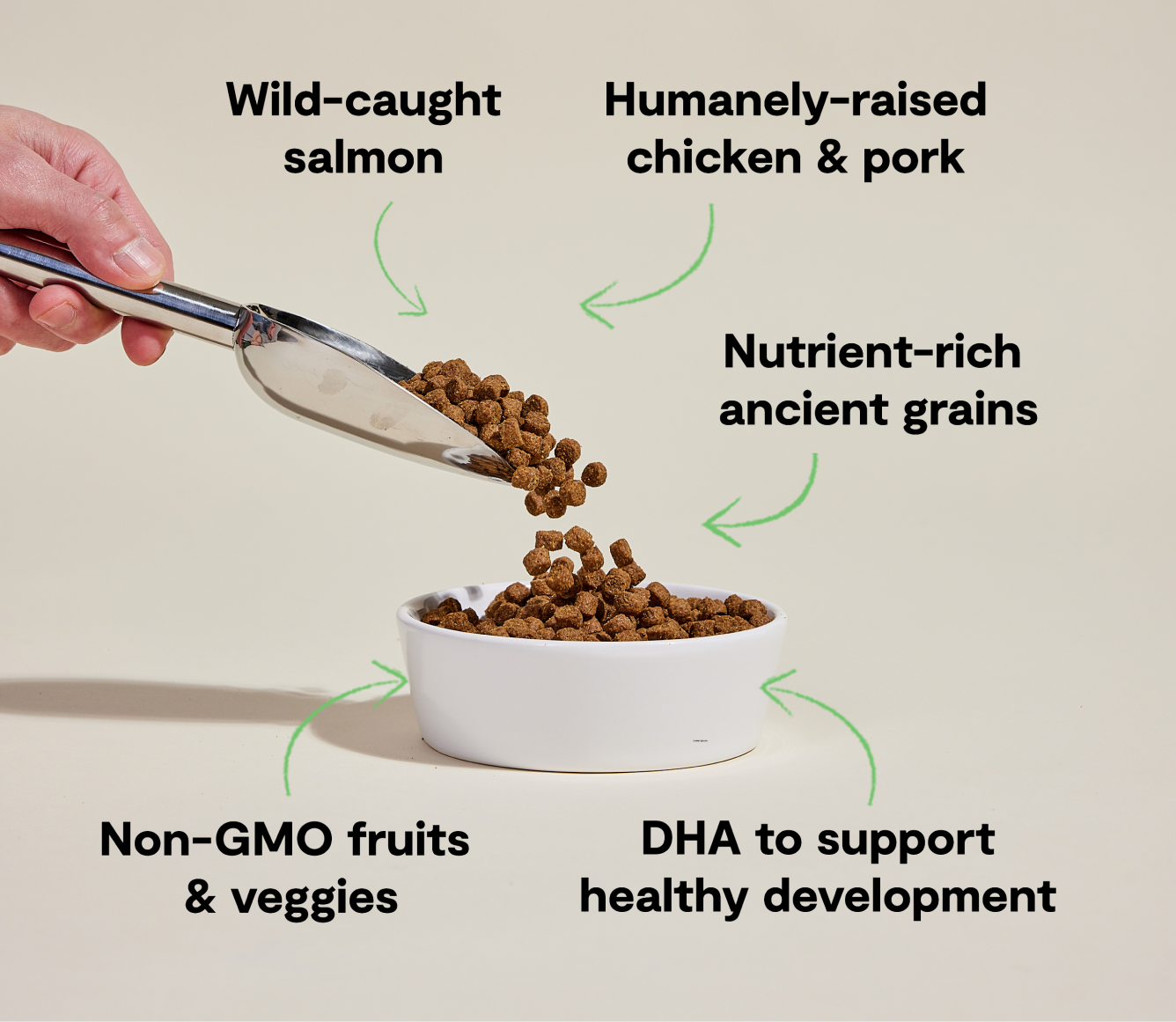 Croquettes pour chiots au poulet et au saumon, aux céréales anciennes