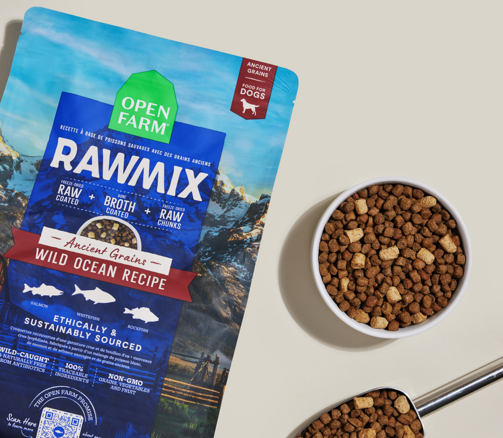 Croquettes pour chiens RawMix Wild Ocean aux céréales anciennes