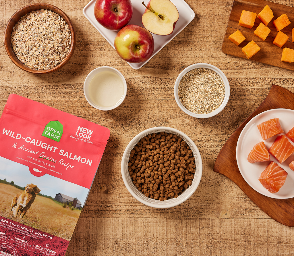 Croquettes pour chiens au saumon sauvage et aux céréales anciennes