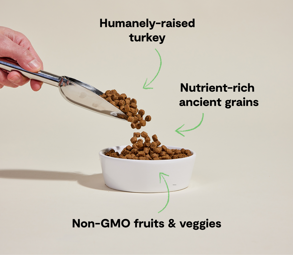 Croquettes pour chien Homestead à la dinde et aux céréales anciennes