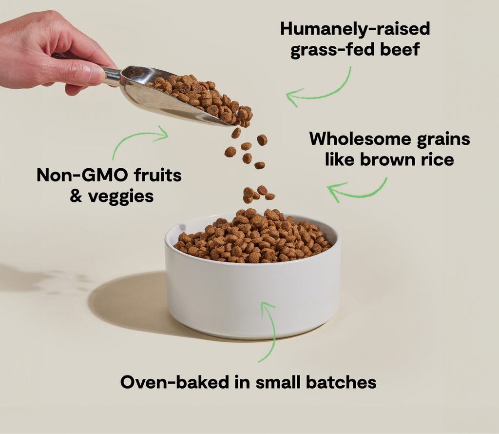 Croquettes pour chiens Goodbowl™ au bœuf nourri à l'herbe et au riz brun