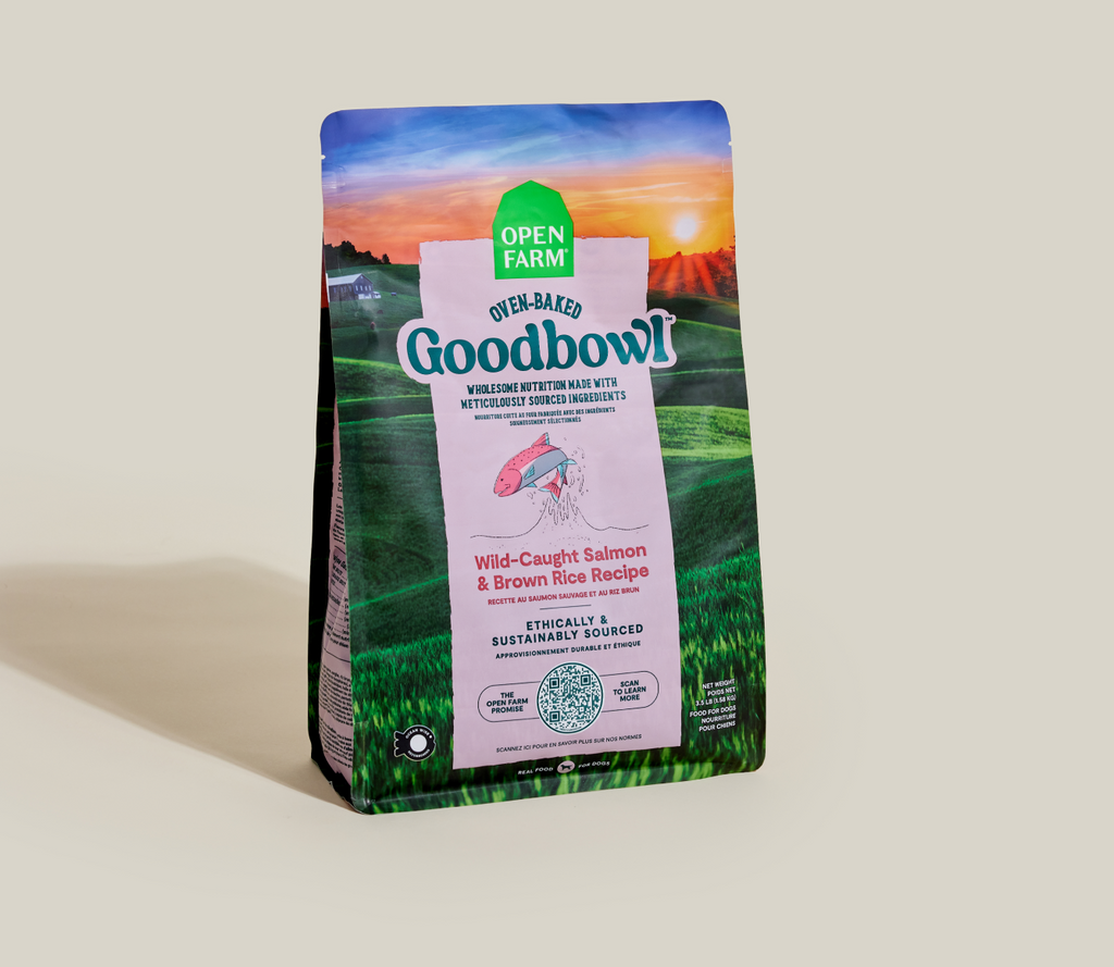 Croquettes pour chiens Goodbowl™ au saumon sauvage et au riz brun