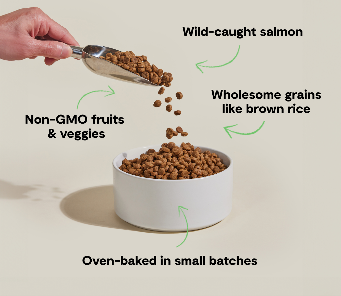 Croquettes pour chiens Goodbowl™ au saumon sauvage et au riz brun