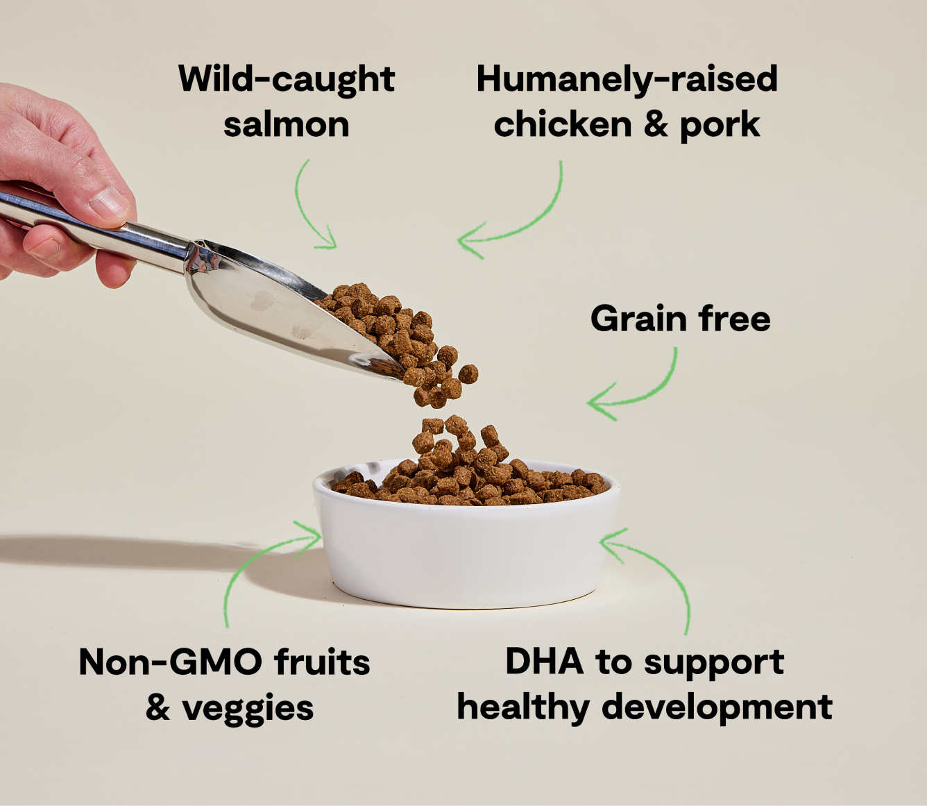 Croquettes sans céréales pour chiots au poulet et au saumon