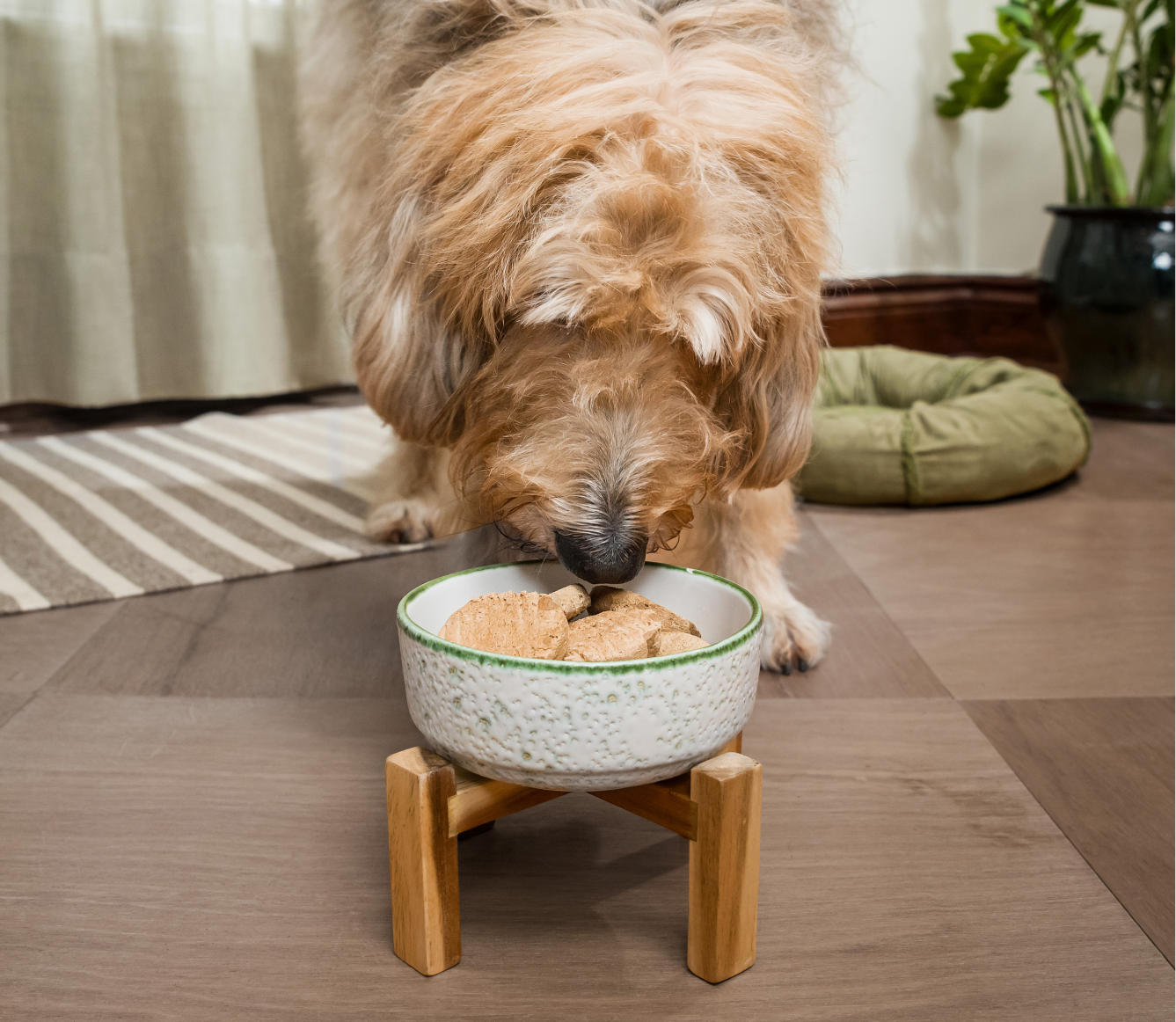 Harvest Chicken Freeze Dried Raw Patties for Dogs