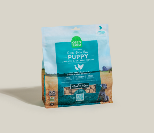 Morceaux crus lyophilisés au poulet et au saumon pour chiots