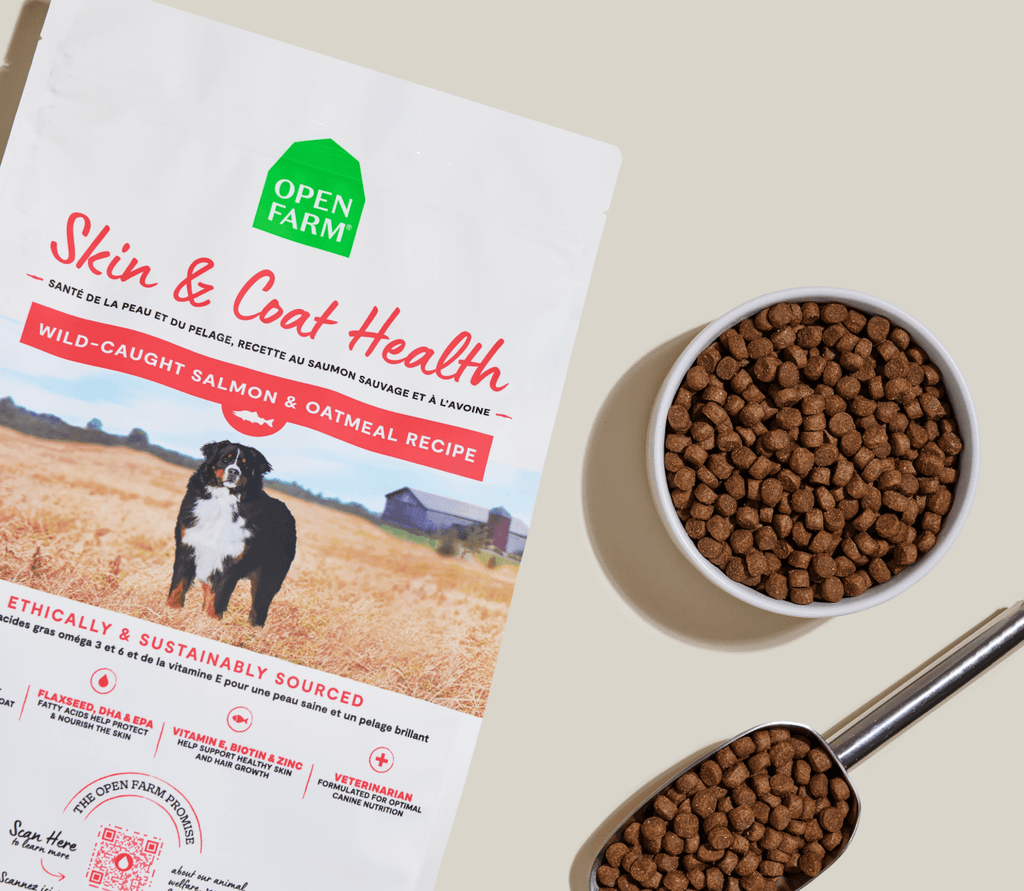 Croquettes pour chien au saumon et à l'avoine pour la santé de la peau et du pelage