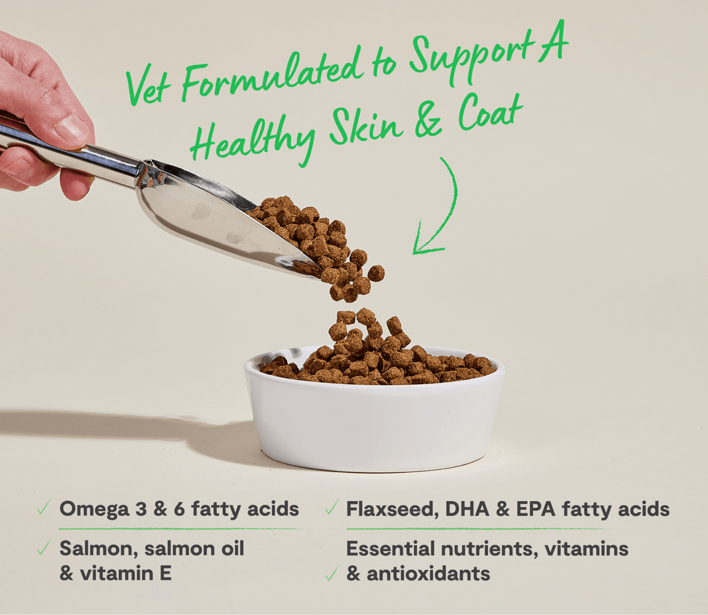 Croquettes pour chien au saumon et à l'avoine pour la santé de la peau et du pelage