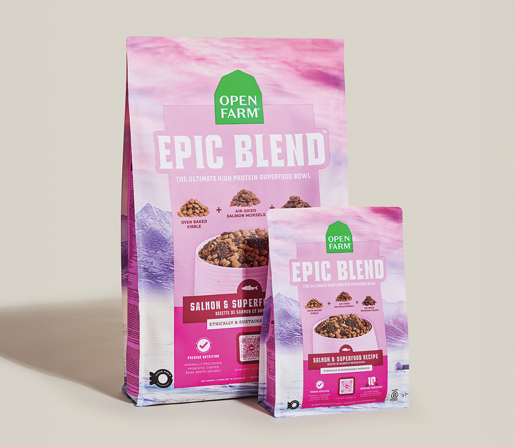 Croquettes Epic Blend Saumon et Superaliments pour chiens